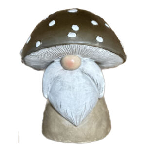 Tomte Svamp