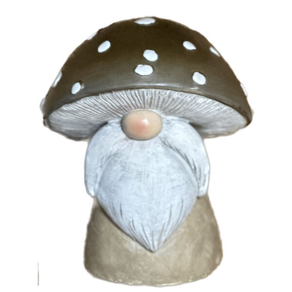 Tomte Svamp