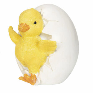 Kyckling Kläckning 1.